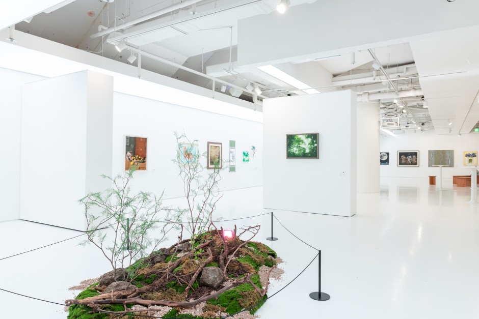 20ea061294df4ccf0fedda4488568cb4_1771986